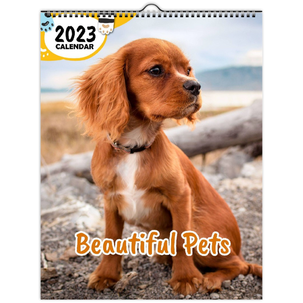 Wall calendars (US & CA)