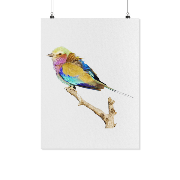 Lilac-breasted Roller Poster