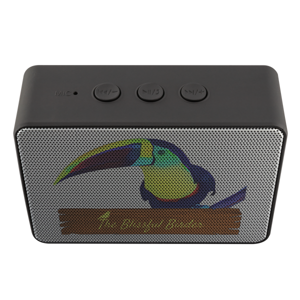 Toucan Bluetooth Speaker Boxanne