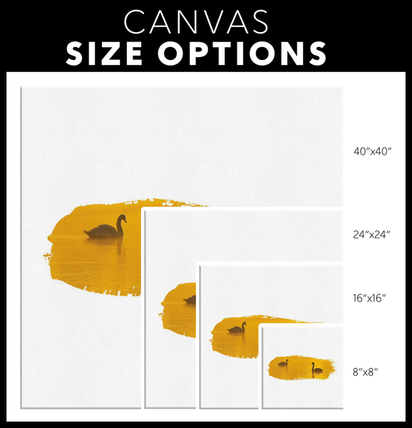 Swan Canvas Wrap