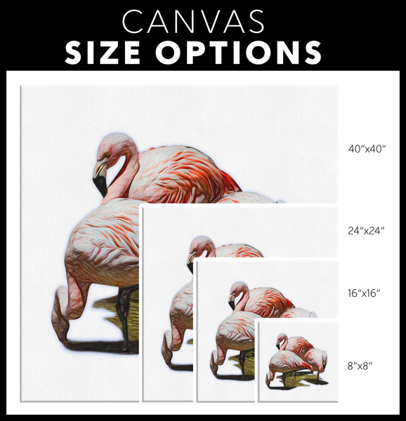 Flamingo Canvas Wrap