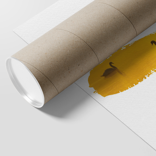 Swan Poster