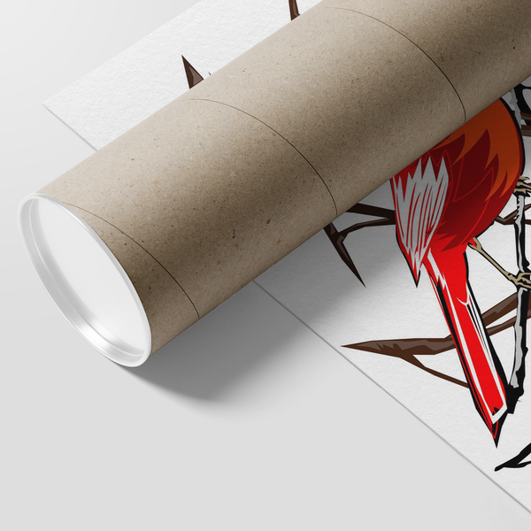Northern Cardinal Bird Poster