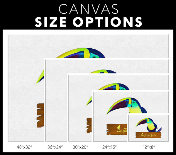 Toucan Canvas Wrap