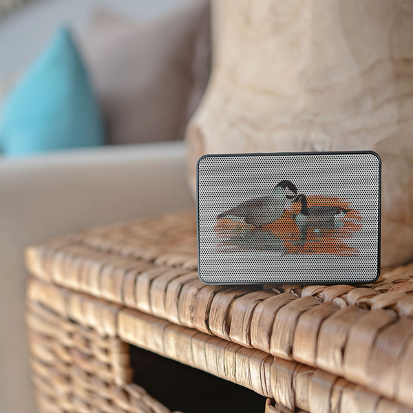 Goose Bluetooth Speaker Boxanne