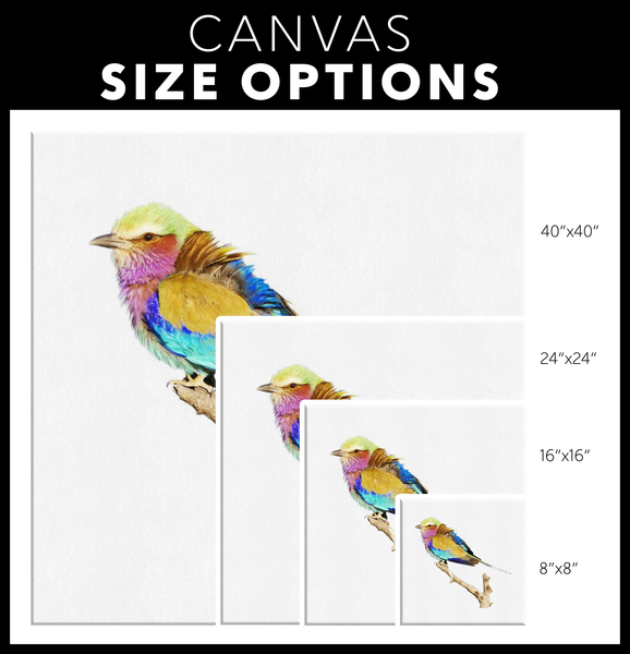 Lilac-breasted Roller Canvas Wrap