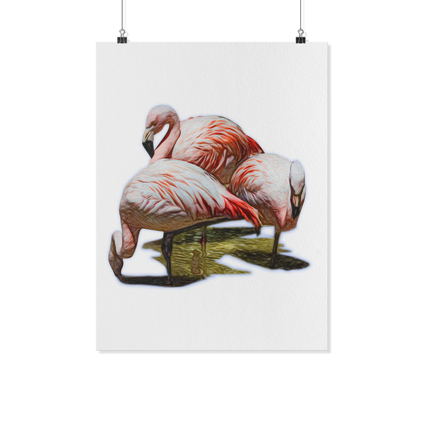 Flamingo Poster