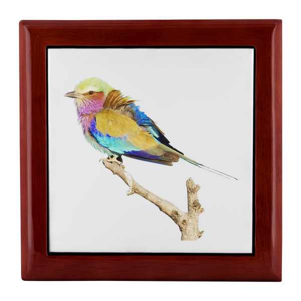 Lilac-breasted Roller Jewelry Box