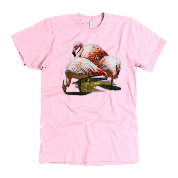 Flamingo American Apparel Mens