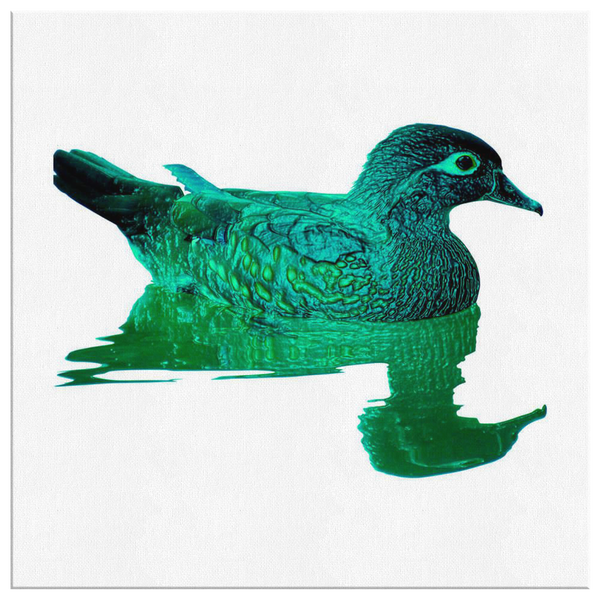 Duck Canvas Wrap