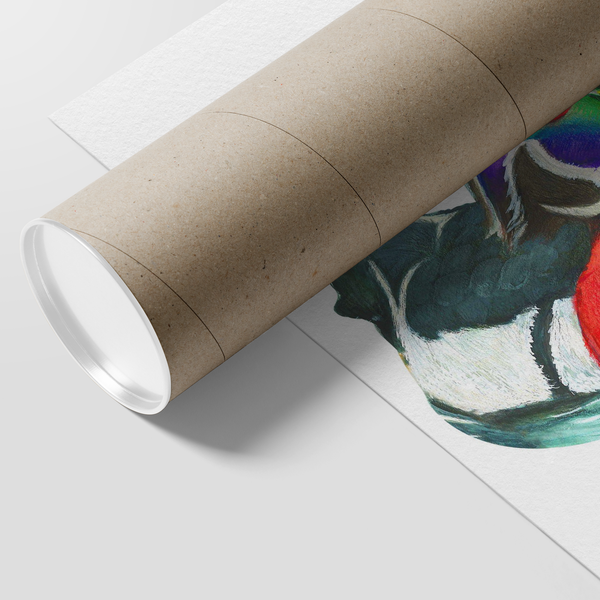Wood Duck Poster