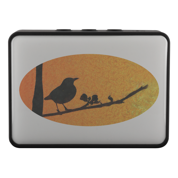 Black Bird Bluetooth Speaker Boxanne